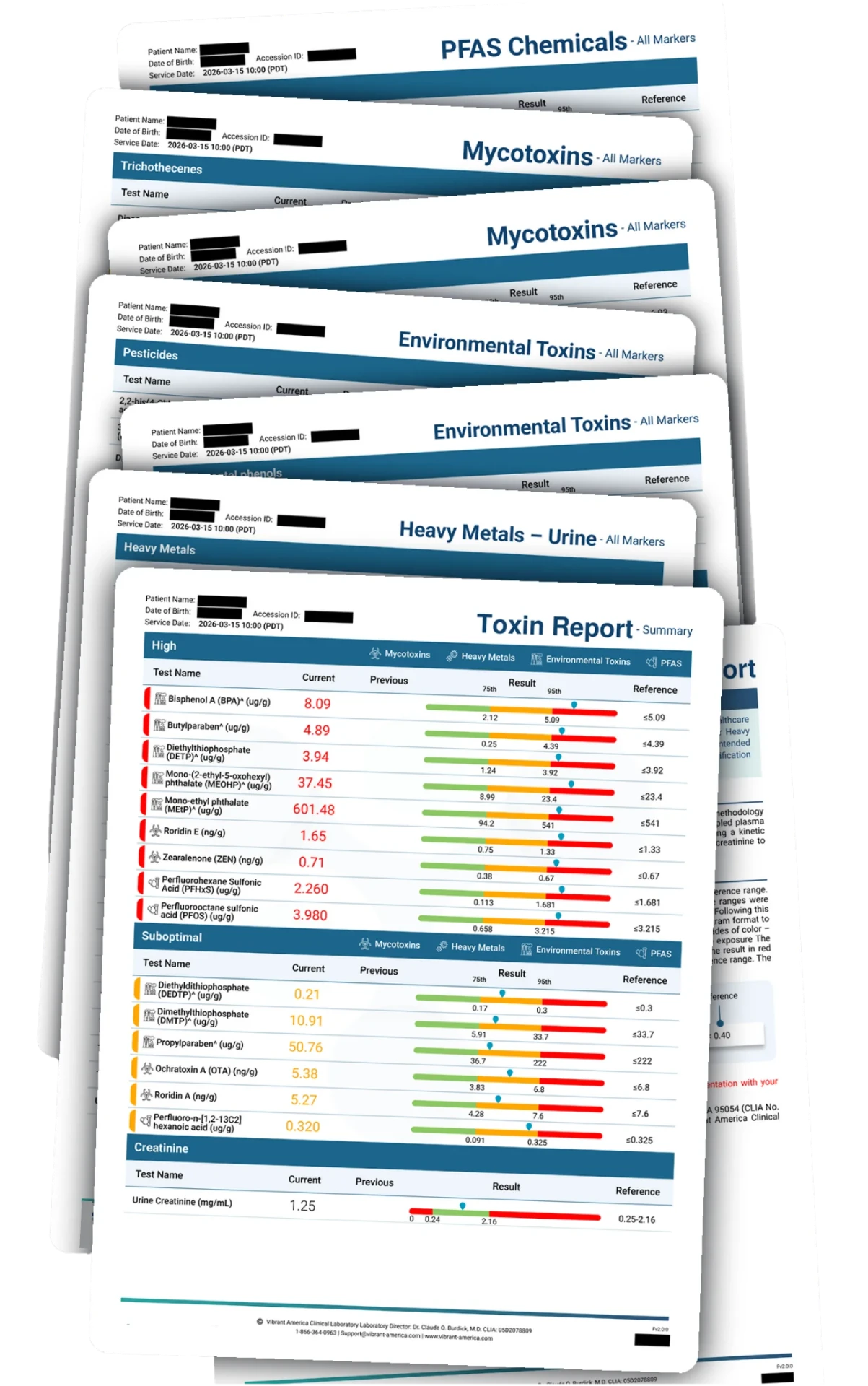 Sample redacted toxic burden report showing PFAS chemicals, mycotoxins, environmental toxins, and heavy metals screening results